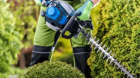 1. Landscapers